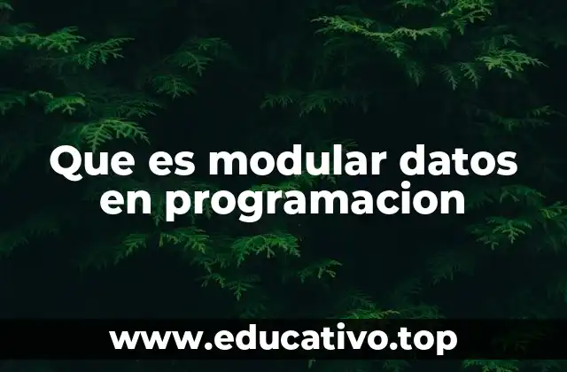 Que es modular datos en programacion