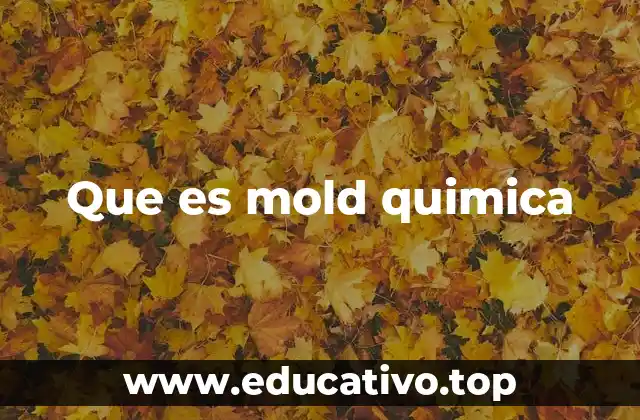 Que es mold quimica
