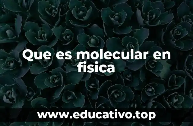 Que es molecular en fisica