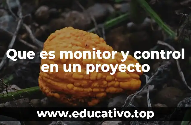 Que es monitor y control en un proyecto