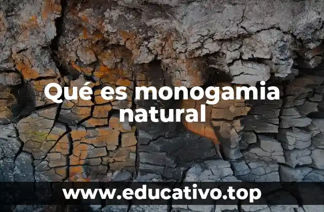 La evolución de la fidelidad en la naturaleza