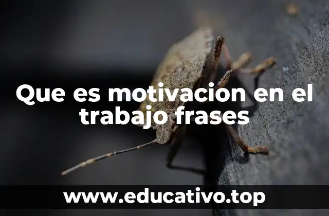 Que es motivacion en el trabajo frases