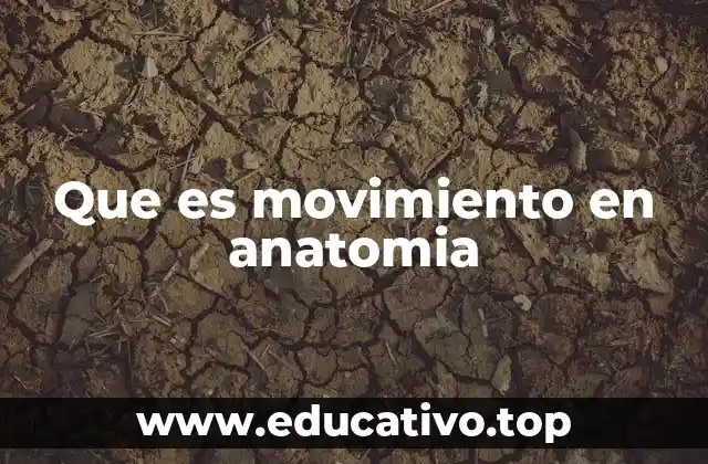 Que es movimiento en anatomia