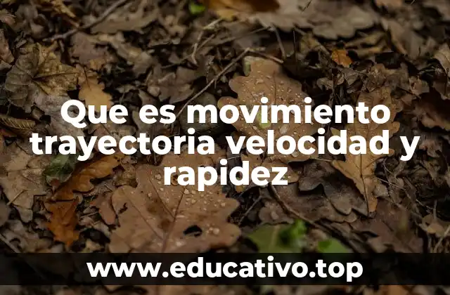 Que es movimiento trayectoria velocidad y rapidez