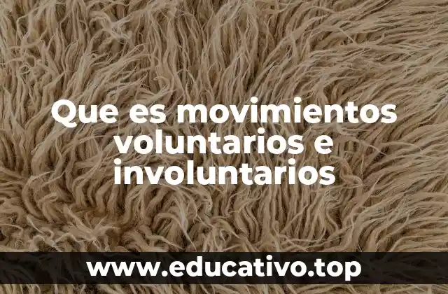 Que es movimientos voluntarios e involuntarios