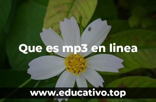 Cómo funciona la reproducción de MP3 en línea