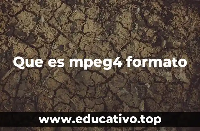 El formato MPEG-4 en el contexto del video digital