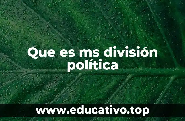 Que es ms división política