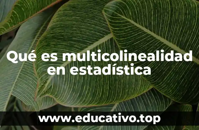 Qué es multicolinealidad en estadística