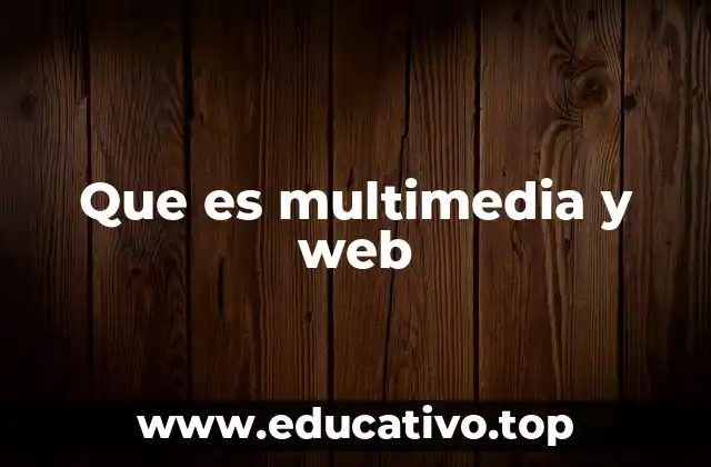 Que es multimedia y web