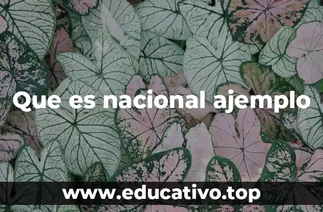 La importancia de los ejemplos en el discurso nacional