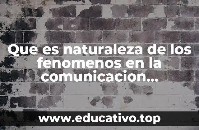 Que es naturaleza de los fenomenos en la comunicacion organizacional