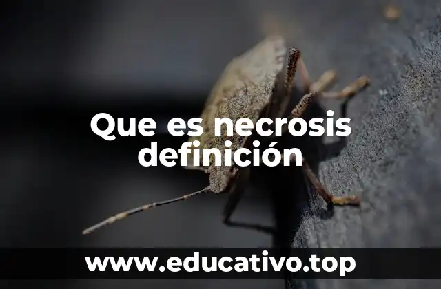 Que es necrosis definición