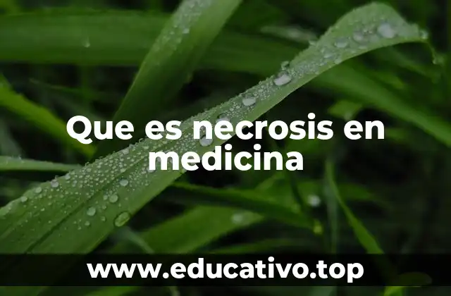 Que es necrosis en medicina