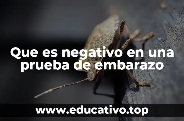 Que es negativo en una prueba de embarazo