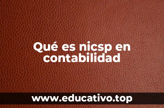 Qué es nicsp en contabilidad