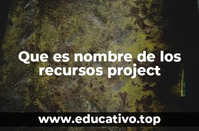 Que es nombre de los recursos project