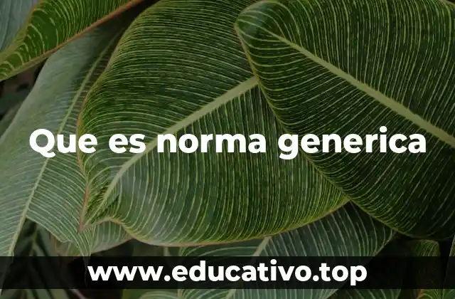 Que es norma generica