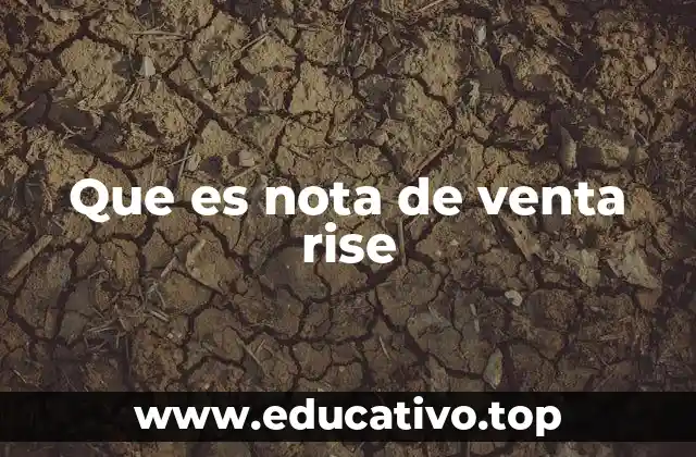 Que es nota de venta rise
