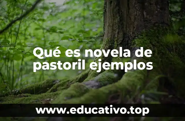 Qué es novela de pastoril ejemplos