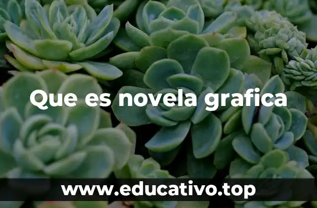 Que es novela grafica