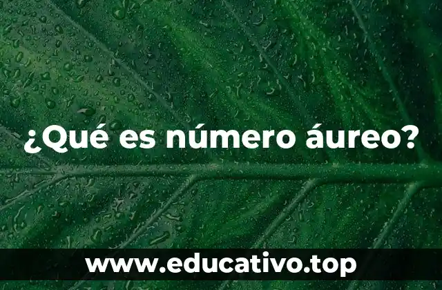 ¿Qué es número áureo?