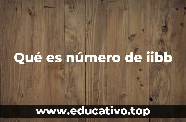Qué es número de iibb