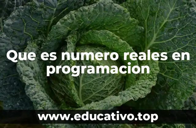 Que es numero reales en programacion
