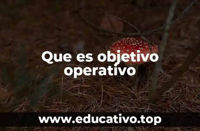 Que es objetivo operativo