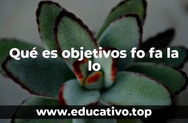 Qué es objetivos fo fa la lo