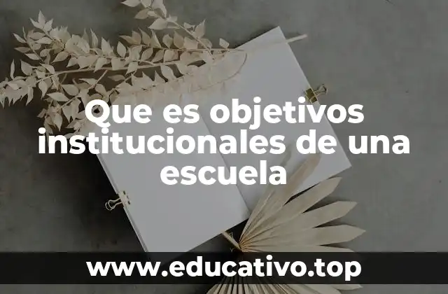 Que es objetivos institucionales de una escuela