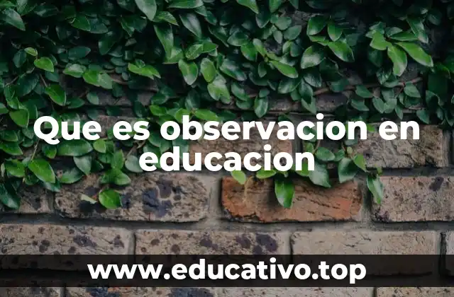 Que es observacion en educacion