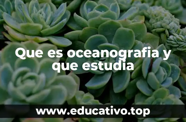 Que es oceanografia y que estudia