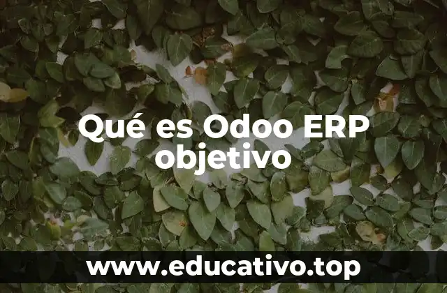 Qué es Odoo ERP objetivo
