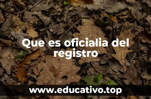 Que es oficialia del registro