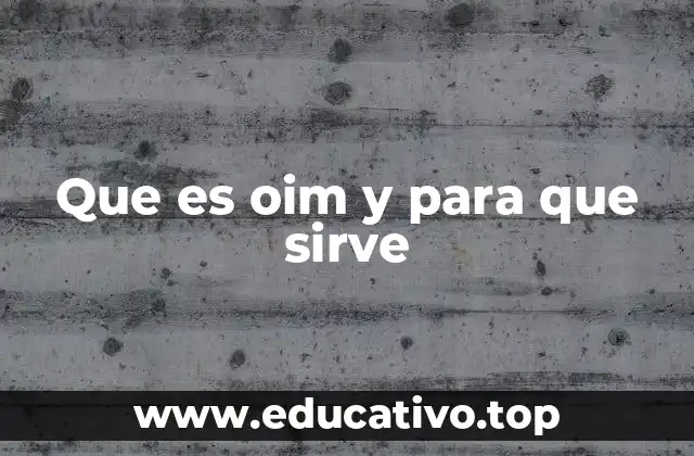 La importancia de la OIM en el contexto internacional