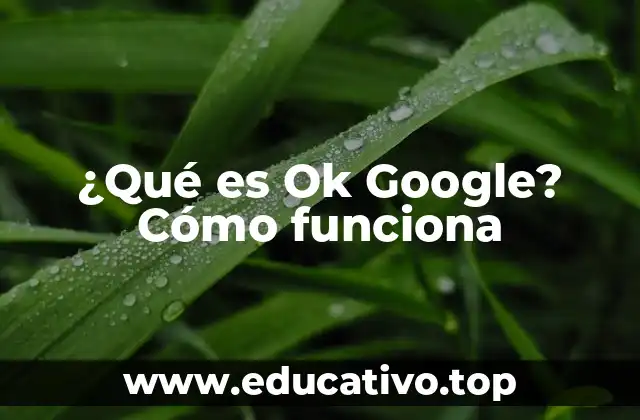 ¿Qué es Ok Google? Cómo funciona