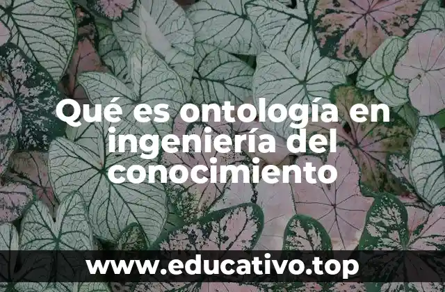 El rol de las ontologías en sistemas inteligentes
