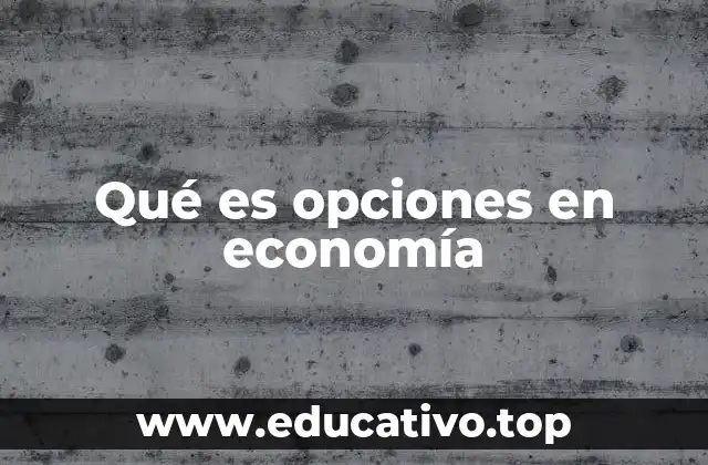 Qué es opciones en economía