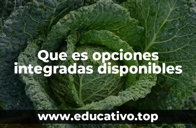 Opciones integradas disponibles y su importancia en la inversión