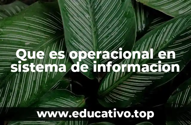 Que es operacional en sistema de informacion