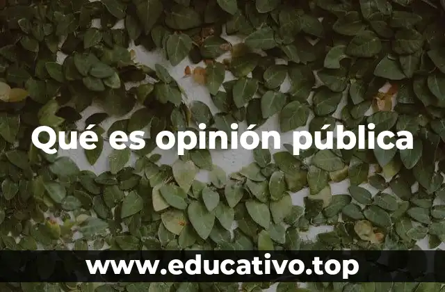 La formación de la opinión pública