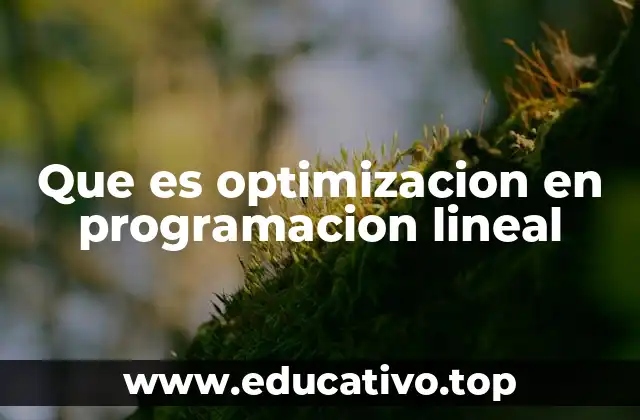 Cómo se aplica la optimización en problemas reales