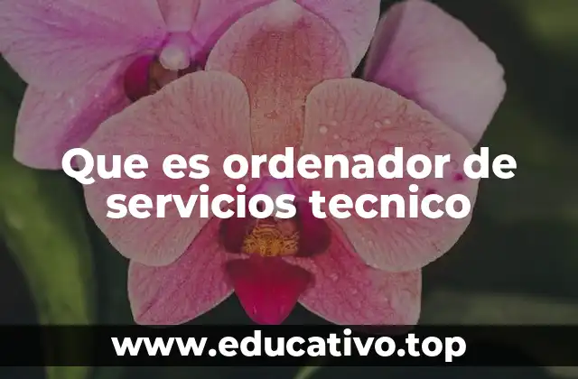 Que es ordenador de servicios tecnico