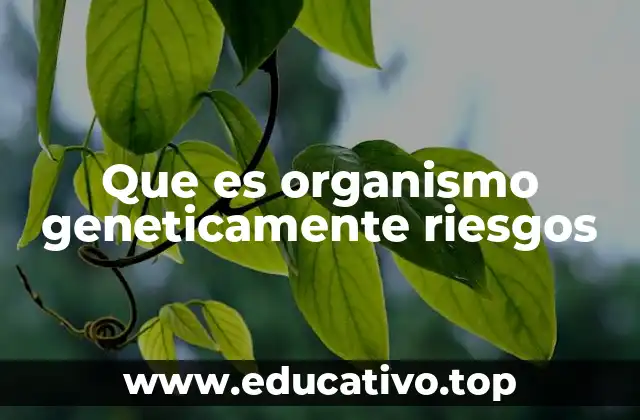 Que es organismo geneticamente riesgos