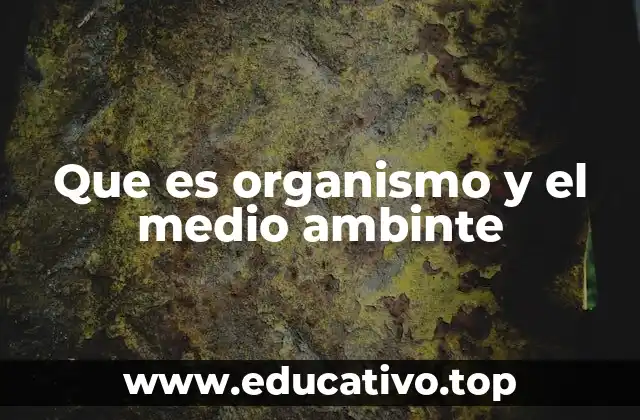Que es organismo y el medio ambinte