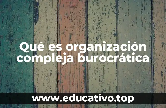 Qué es organización compleja burocrática