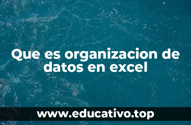 Que es organizacion de datos en excel