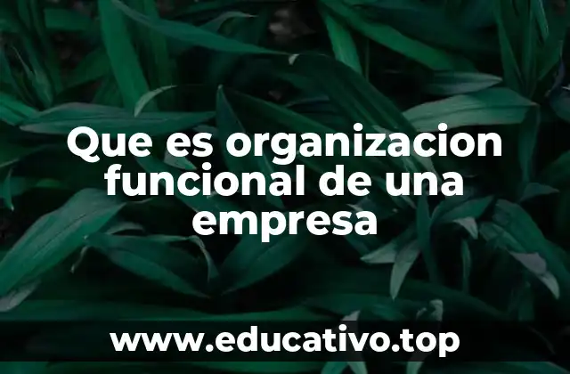 Que es organizacion funcional de una empresa
