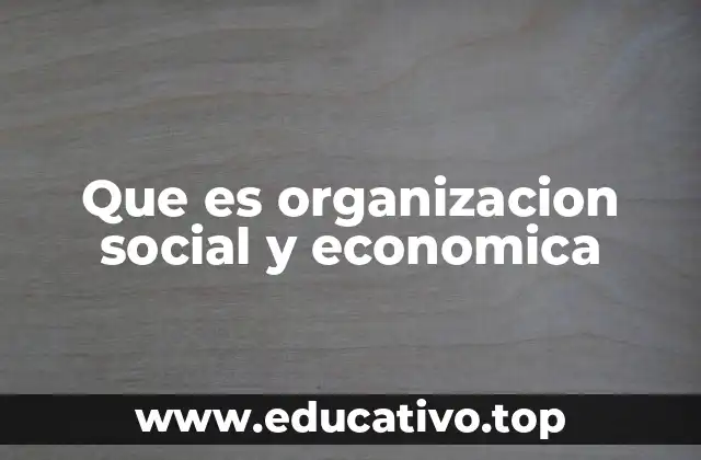 Que es organizacion social y economica